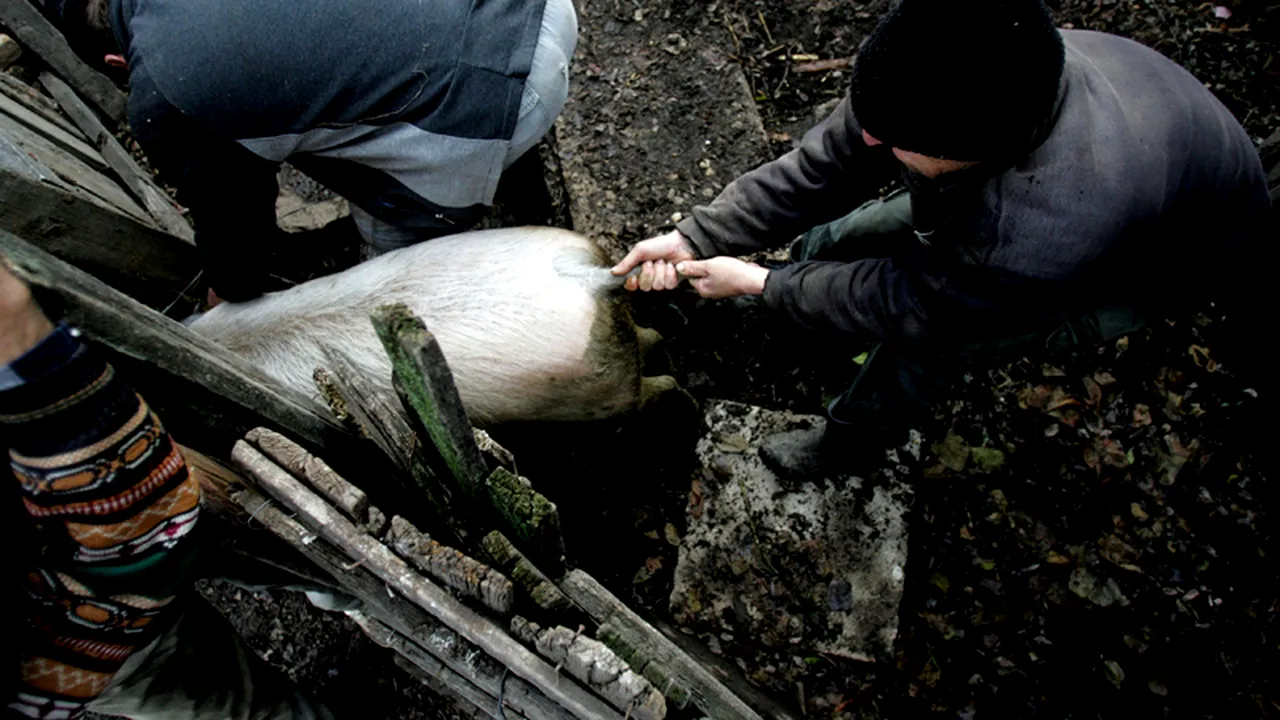 Attila Korodi: Peste 250 de localități din România sunt vulnerabile la poluarea cu nitrați