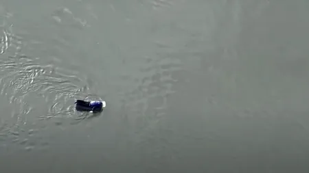 Ucrainean prins vâslind cu mâinile goale pe o saltea ce plutea pe Nistru. Bărbatul a vrut să fugă de RĂZBOI în Republica Moldova