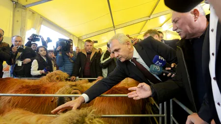 Dragnea: Sunt hârțogari care nu-și dau seama ce înseamnă o anumită perioadă în agricultură/ Legea dublului standard se va aplica inclusiv fermierilor români