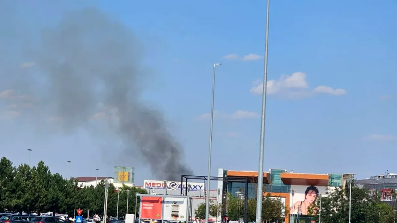 A izbucnit un incendiu la Grădina Zoologică din Capitală. ISU București-Ilfov: „Incendiul se manifestă pe o suprafață de 2.000 de metri pătrați”