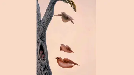 Test de personalitate | Ce vezi prima dată? Răspunde și vei afla care este cea mai ascunsă dorință a ta!