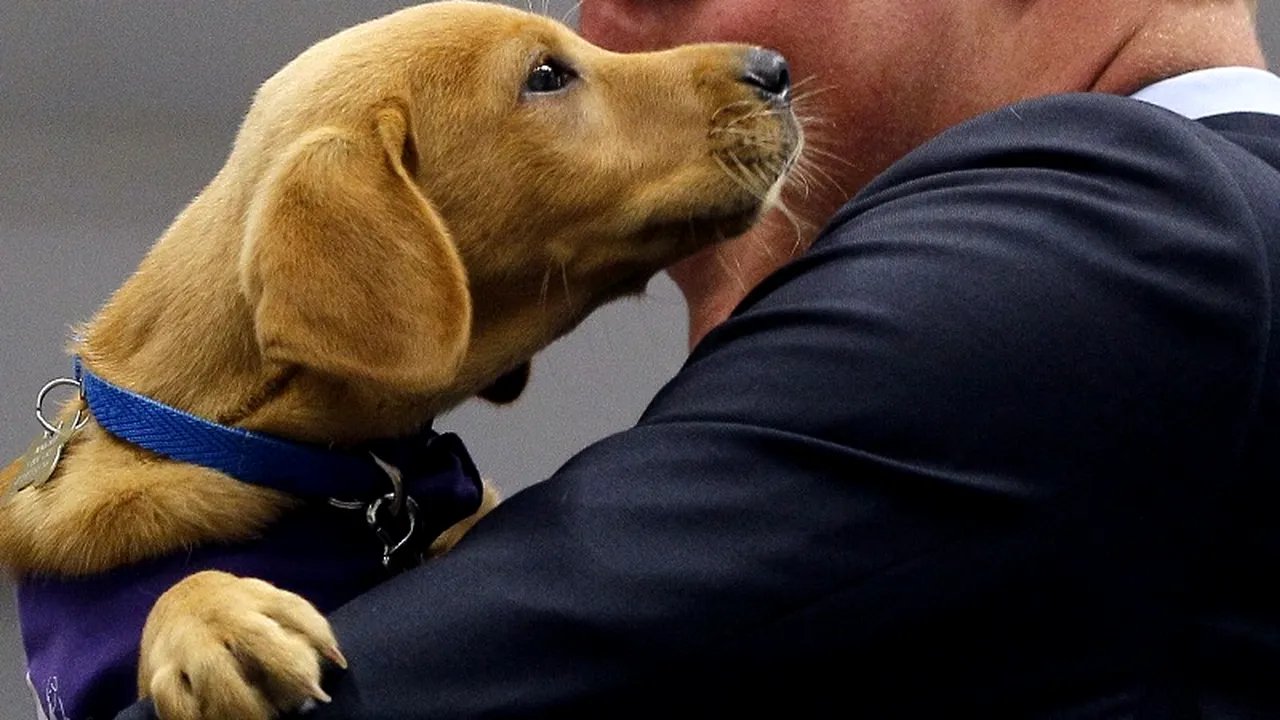 Cine este cel mai râvnit burlac din lume