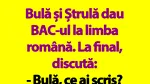 BANC | Bulă și Ștrulă dau BAC-ul la limba română