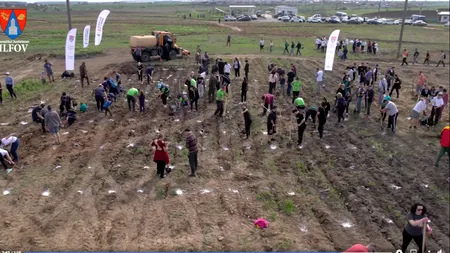 Președintele CJ Ilfov, Hubert THUMA, a plantat alți 8500 de copaci, la Cernica