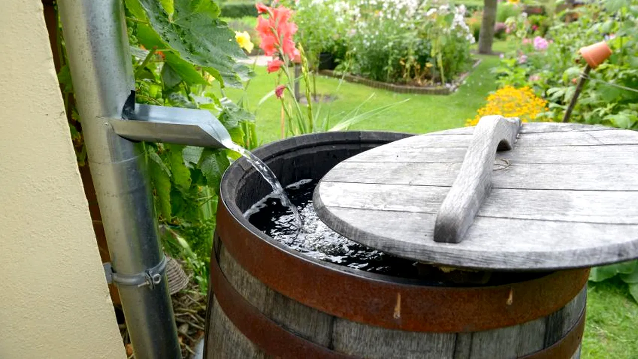 Românii sunt îndemnați să strângă apa de ploaie. 