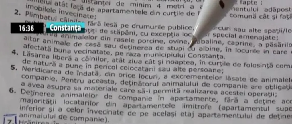 Doamna Inocenția l-a picat pe Mazăre la gramatică. Ce s-a întâmplat în primăria lui după ce a fost emisă o hotărâre