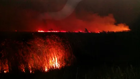 Incendiu puternic în Delta Dunării. Ard 10 hectare de vegetație uscată, iar intervenția pompierilor este îngreunată de întuneric și de terenul mlăștinos