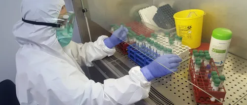 MApN. Institutul „Cantacuzino”, creștere a capacității de testare moleculară pentru SARS CoV-2. Câte probe se prelucrează zilnic