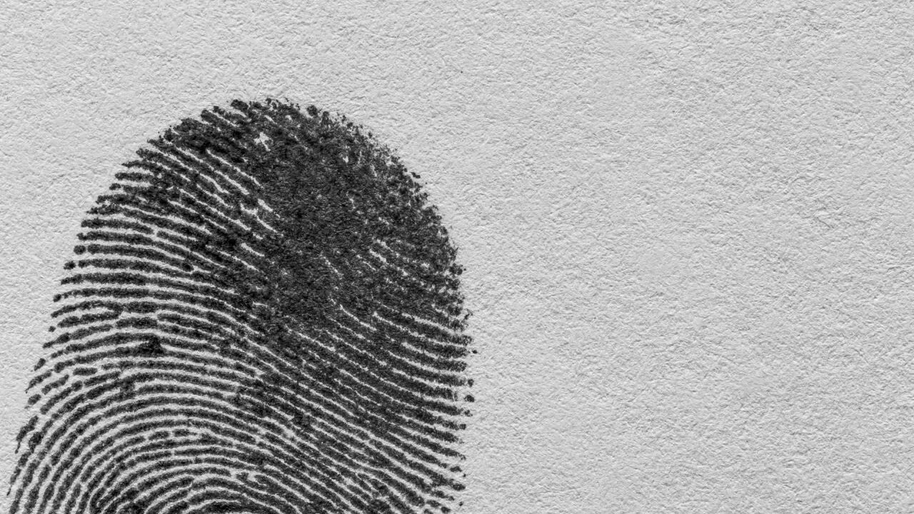 Oamenii de știință au descoperit amprente vechi de 15.000 de ani ale unei civilizații dispărute, păstrate pe 142 de mărgele din lut