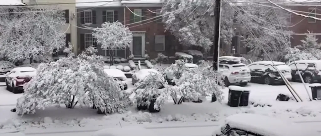 VIDEO | O furtună de zăpadă a blocat Washington și a anulat peste jumătate din zboruri. Joe Biden a avut probleme la coborârea din Air Force One, din cauza viscolului