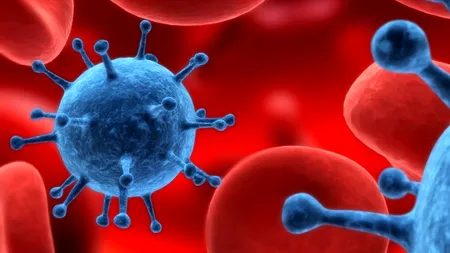 A fost descoperită cea mai veche dovadă a prezenței cancerului la om