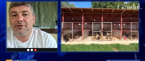 Marius Chirca, la GÂNDUL LIVE, despre controalele la DSV-uri și adăposturi: Unele firme capturează și de câte 4-5 ori aceiași 50 de câini / Cum ajunge ketamina din cabinetele veterinare pe piața neagră pentru consum - VIDEO
