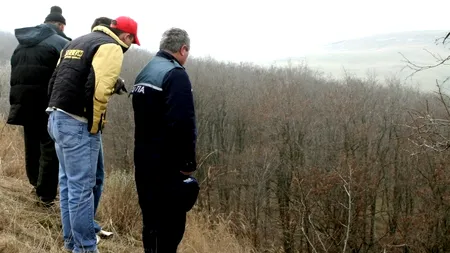 Oseminte umane descoperite de un fermier într-un balot cu lucernă