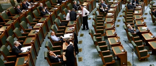 PSD își reconfirmă majoritatea în Senat. Maya Teodoroiu îl va înlocui pe Toni Greblă la Curtea Constituțională