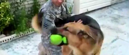 VIDEO: Reacția unui câine când își revede stăpânul, un soldat plecat mult timp de acasă