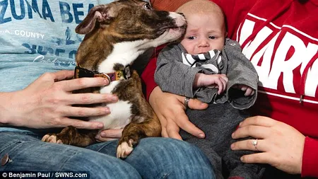 Când câinele pe care tocmai îl adoptase a început să latre noaptea, Jade nu s-a gândit că asta o să-i salveze viața. „Îi voi rămâne veșnic recunoscătoare