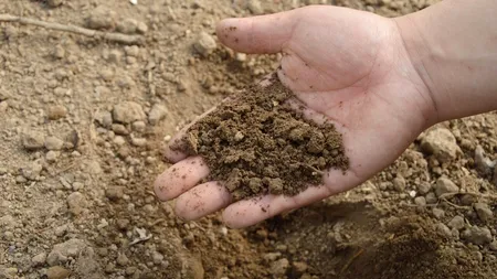 A scăzut prețul îngrășămintelor: „Fermierii văd cum preţurile scad şi amână achiziţiile”