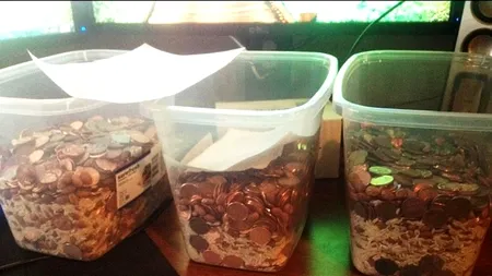 Cum s-a răzbunat o americancă pe soțul care a divorțat