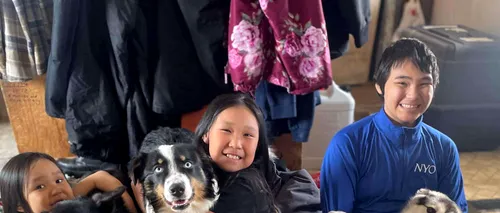 Povestea lui NANUQ, câinele pierdut care s-a întors la stăpânul său după o călătorie de 241 km pe gheața din Marea Bering