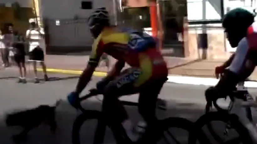 VIDEO Un câine a provocat căderea mai multor cicliști în etapa a doua a cursei Vuelta San Juan 