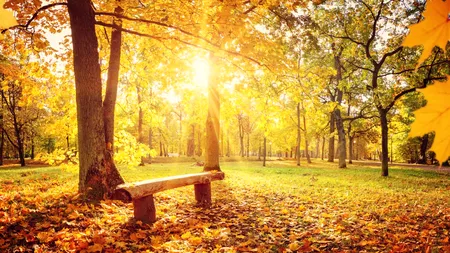 Temperaturile vor fi ușor mai mici decât cele normale zilele următoare. Cum va fi vremea până la începutul lunii septembrie