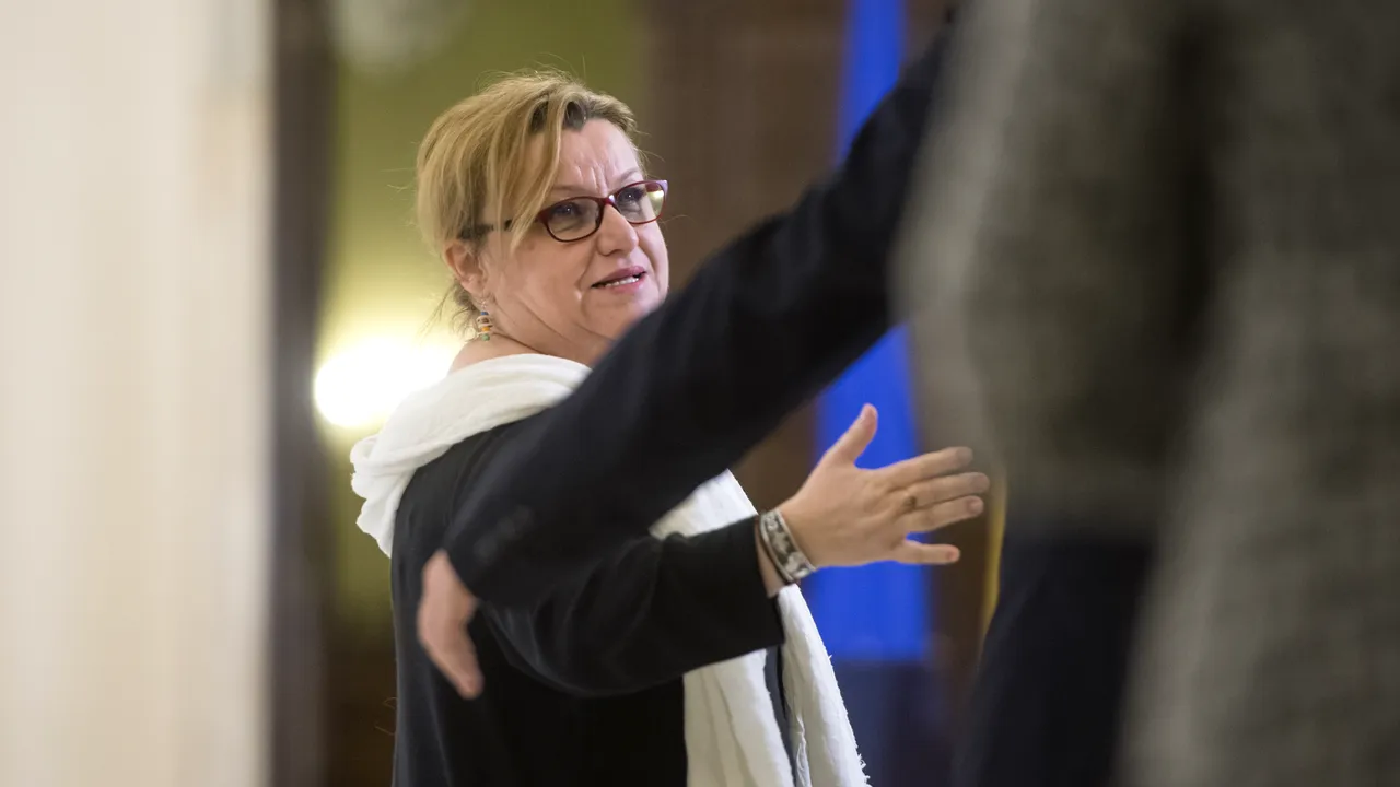 Corina Șuteu, a șaptea încercare de a trece ordonanța privind cinematografia