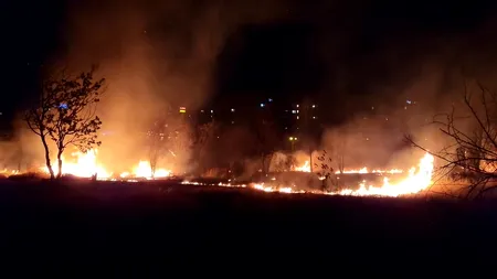 UPDATE | Incendiul din Parcul IOR a fost stins. A fost afectată o suprafață de aproape 4.000 mp