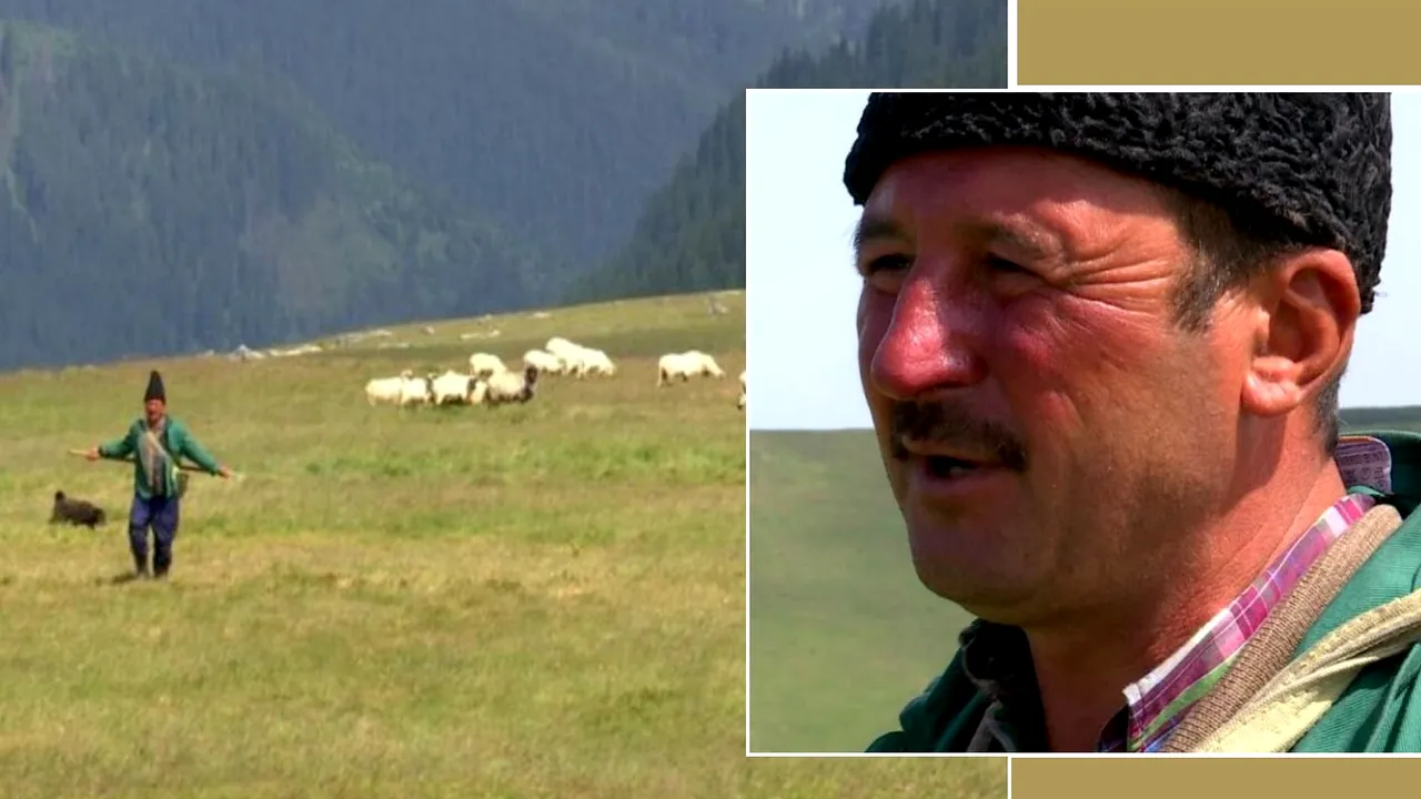 Povestea lui Aristică, ciobanul care a terminat Facultatea de Sivicultură, dar a preferat să ia calea munților: „Transhumanţa a fost mama noastră”