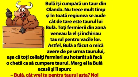 BANC | Bulă îşi cumpără un taur din Olanda