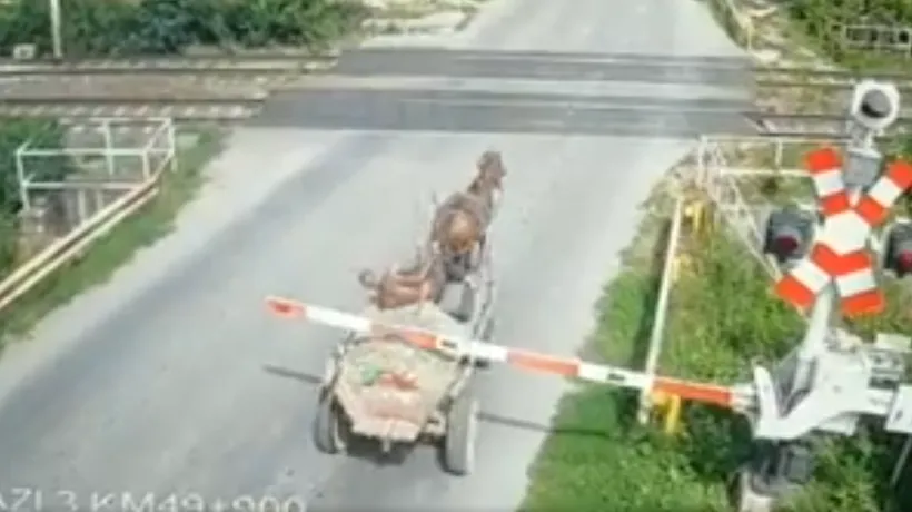 Un căruțaș „bombardier” de lângă Ploiești a trecut pe sub bariera de cale ferată și l-a făcut pe mecanicul de tren să frâneze de la 120 de km/pe oră la doar 20 (VIDEO)