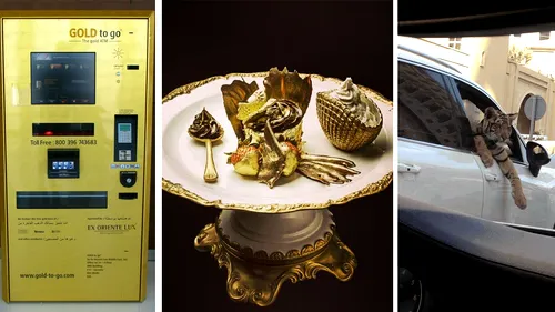 Cele 18 lucruri bizare care sunt posibile numai în Dubai. Automatul cu lingouri de aur, prăjitura de 1.000 dolari și animalele sălbatice de companie