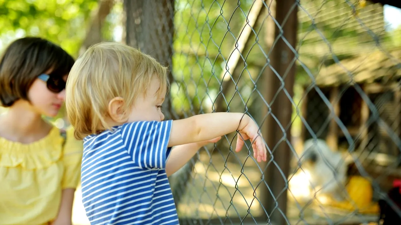Ce ANIMALE nu vor mai avea voie să crească românii în curte. Sancțiuni dure pentru cei care nu se conformează