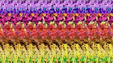 Iluzie optică VIRALĂ | Doar geniile „3D” pot vedea animalul care se ascunde în această autostereogramă