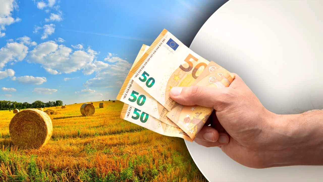Fondurile europene prin GAL-uri, aproape epuizate. În ce zone mai pot găsi fermierii finanțare