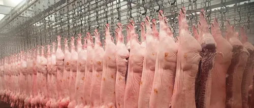 1 ianuarie 2020: sute produse pentru care China diminuează taxele de import. Sunt vizate carnea de porc și avocado congelate