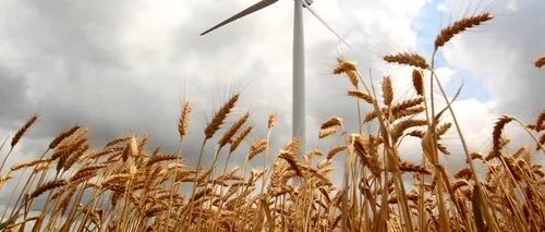 BERD analizează un împrumut de 58,2 milioane euro pentru două parcuri eoliene în România