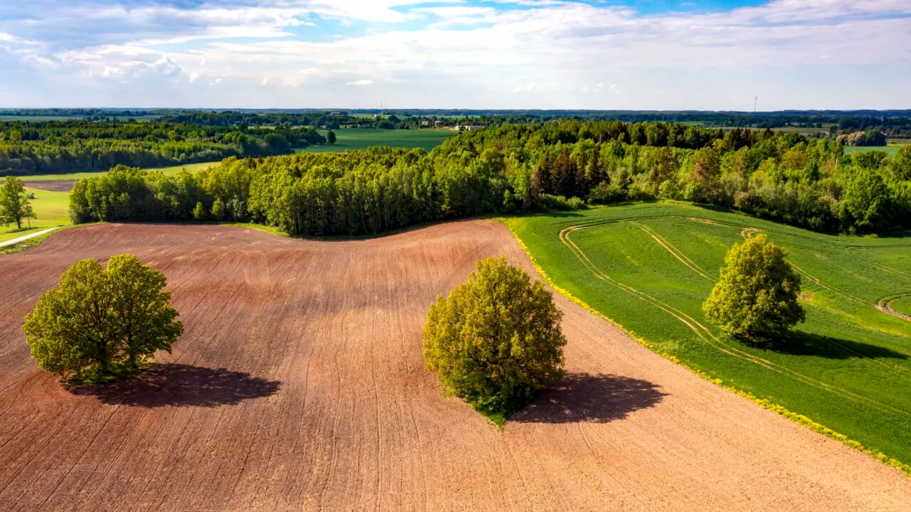 Cum pot intra legal în posesia terenului proprietarii care dețin mai mult pământ decât figurează în acte