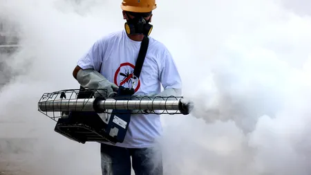 Peste 580 de cazuri de microencefalie, confirmate în Brazilia