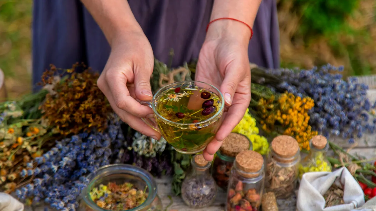 Planta medicinală care formează o barieră de protecție în fața răcelii. Aduce multiple beneficii organismului