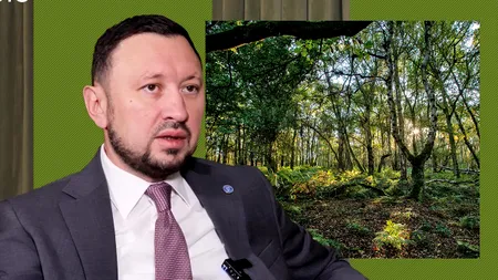 Ministrul Mediului: „Codul Silvic se leagă cu tot ce am finanțat prin PNRR”