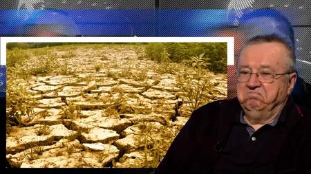 Ion Cristoiu, despre importul de cereale din Ucraina: „România a SACRIFICAT agricultura. Trebuia să acționăm acum mult timp”