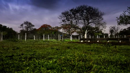 Amendă uriașă, de până la 20.000 de lei, dacă locuiești la casă! Ce este complet interzis să faci în propria curte