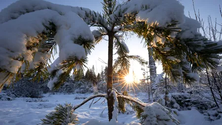 Meteo 30 ianuarie 2025. Temperaturi neobișnuite în toată țara, în mijlocul iernii. Cum va fi vremea în weekend