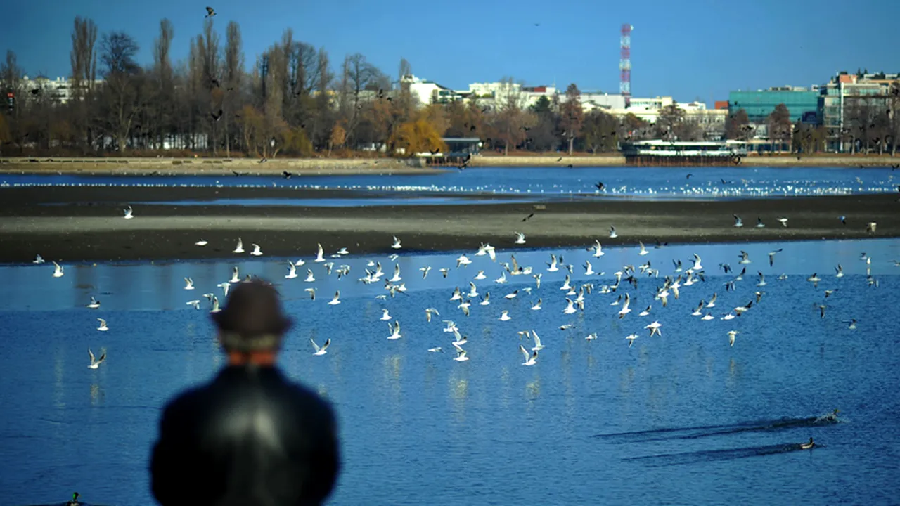 PROGNOZA METEO. Cum va fi vremea în următoarelele zile