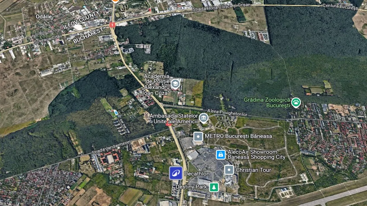 Primăria Sectorului 1 vrea Pădurea Băneasa de la Romsilva. Un proiect în acest sens a fost votat în unanimitate