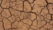Stare de urgență în Italia, pe fondul secetei, al crizei de apă și al temperaturilor extreme