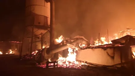 Incendiu puternic la o fabrică de mobilă din Prahova | VIDEO