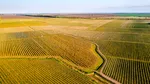 Prețurile materiilor prime agricole ating, pentru luna august, cele mai mari prețuri din ultimii 14 ani. Războiul și vremea extremă pun presiune pe piața alimentară