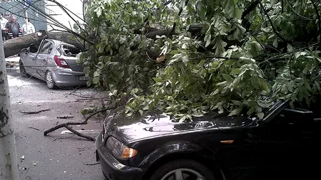 Primarul Băluță anunță că îi despăgubește pe proprietarii mașinilor avariate din cauza vremii: Primăria Sectorului 4 are asigurare