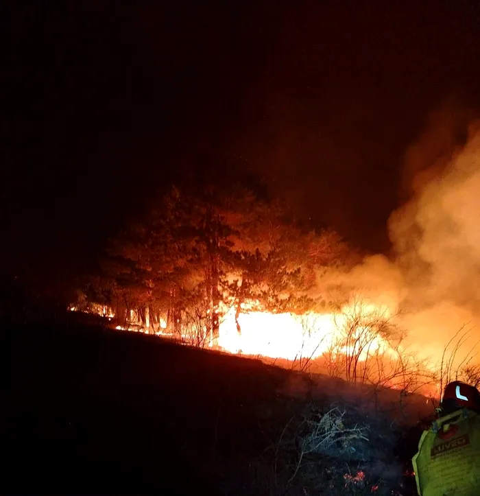Sursa foto. ISU Mehedinți